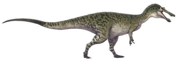 10 Dinosaurs That Could Swim - NewsBreak
