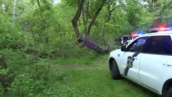 Dead body found in Pennypack Park, police say - NewsBreak