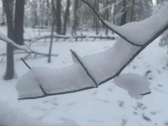 Weekend winter storm likely. Is it the ‘big one’ or just a big mess? It ...