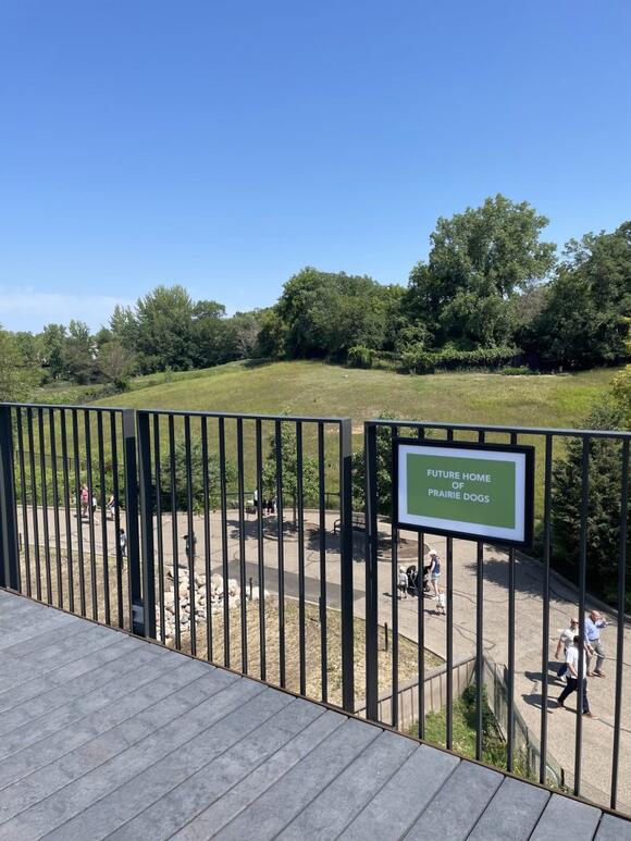 The Minnesota Zoo’s Treetop Trail Opens Today