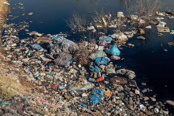 Jaigaon – Waste Dumping Along Torsa River Imperils Downstream Wildlife ...