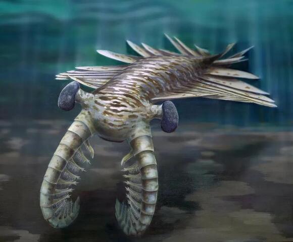 10 Fascinating Prehistoric Creatures You’ve Never Heard Of - NewsBreak
