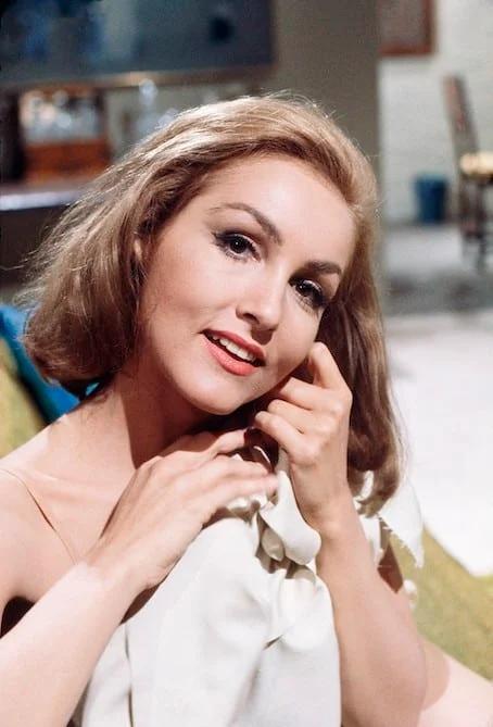 ‘Batman’ Beauty Julie Newmar Is 93—Inside The Life She Chose Away From ...