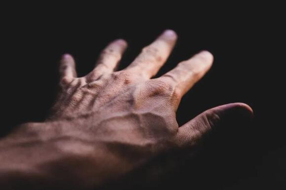 Your Fingers Don't Contain a Single Muscle - NewsBreak