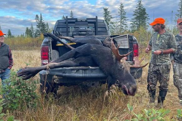 Maine hunter shoots a bull moose with a crossbow at point-blank range ...