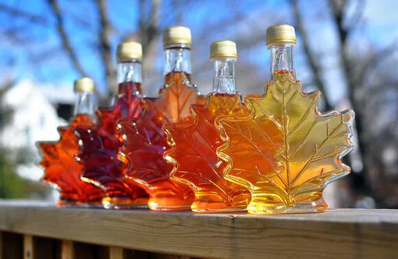 Discover Which Tree Makes The Absolute Best Maple Syrup - NewsBreak