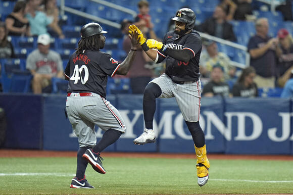 Twins Rays Baseball