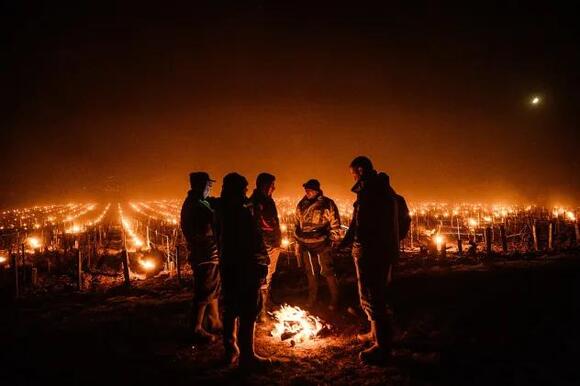 French vineyards light hundreds of fires to fight off a spring freeze ...