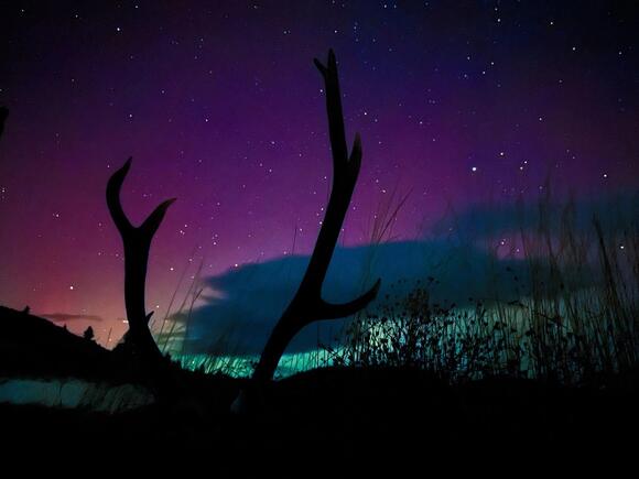 Montana’s Last Supermoon Of The Year Will Light Up The Sky - NewsBreak