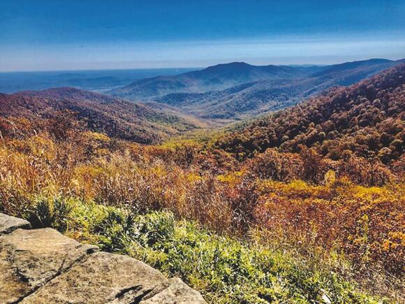 Shenandoah National Park: ‘Several weeks' from peak fall color - NewsBreak