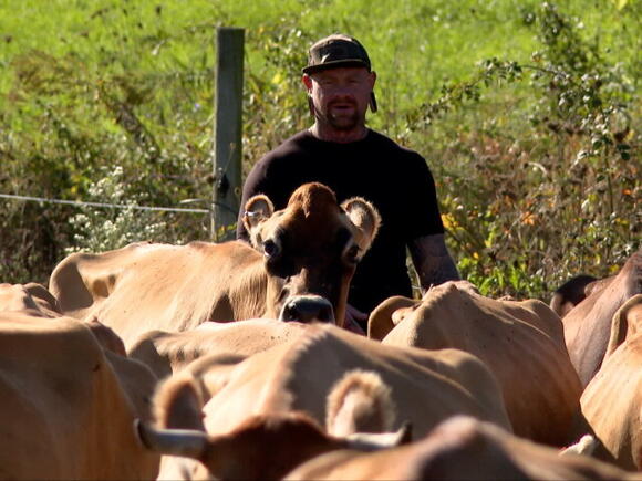 Walworth County raw milk farmer says state is unfairly fining his ...