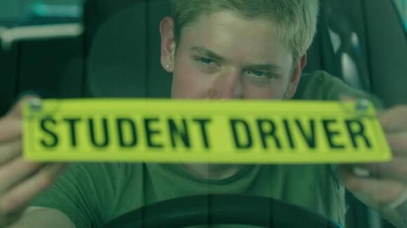 “Please Be Patient, Student Driver”: Why These Stickers Are Starting to ...