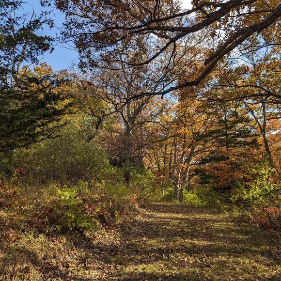 Sunset Fall Color Hike at Kuehn Conservation Area - NewsBreak
