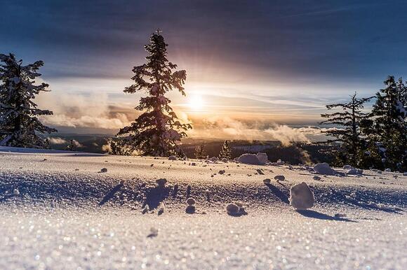 Massachusetts Residents Fined For Snow Blowing At Certain Hours - NewsBreak