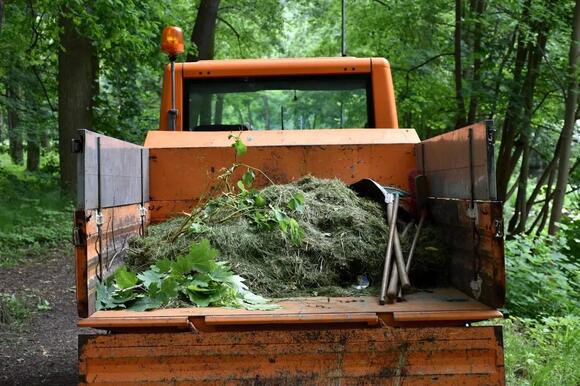 Why Experts Are Warning Homeowners to Look Out for This Rare, Giant ...