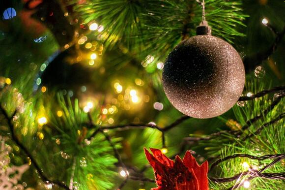 From Tree Lighting to Ice Skating: Your Complete Guide to Temple’s ...