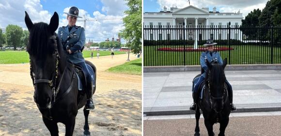 Beloved Police Horse Jay Dies at 12 After Brief But Impactful Career ...