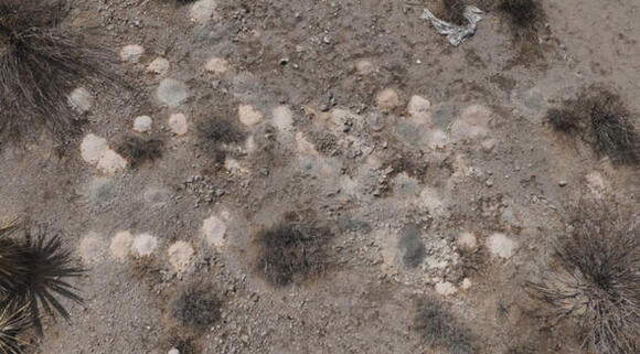 Over 300 piles of human remains found dumped in desert outside Las ...
