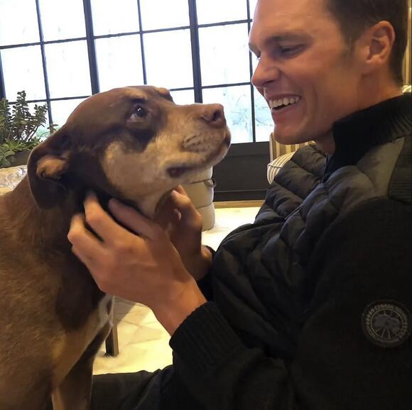 Colossal CEO Ben Lamm Revived Dire Wolves, Making Major Strides in ...