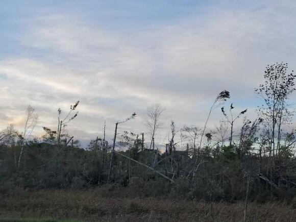 Canada tied all-time tornado record in 2022 - NewsBreak