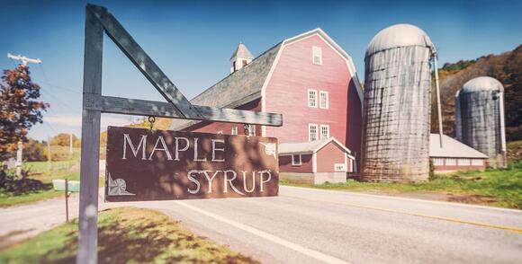 Discover Which Tree Makes The Absolute Best Maple Syrup - NewsBreak