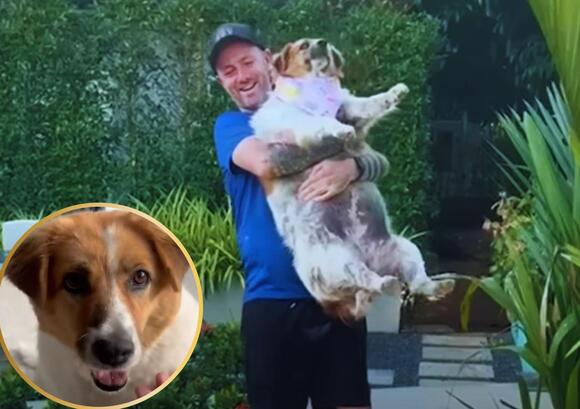 Stray Dog Was Too Overweight to Walk But Love Helped Her Run Again ...