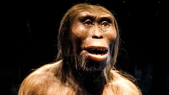 This unexpected fossil discovery changed The oldest human fossils once ...