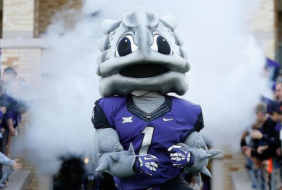 Meet The Iconic Live Animal Mascots Of College Football - NewsBreak
