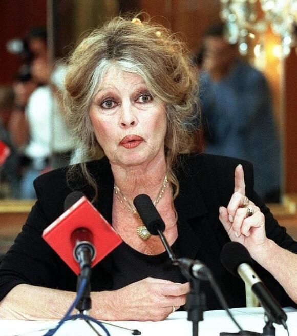 Brigitte Bardot Looks Unrecognizable At 89 — See Her Before And After