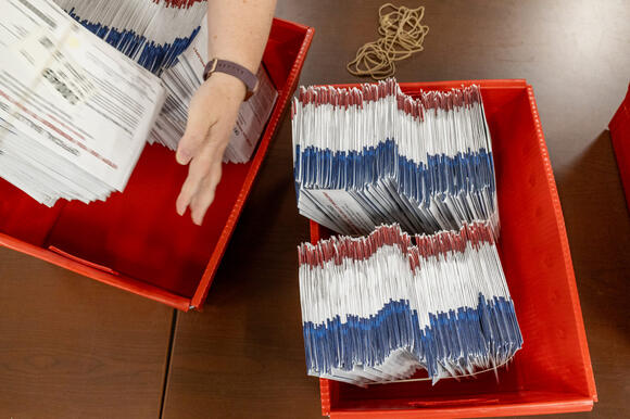 English is already Idaho’s official language. Voters can add it to the ...