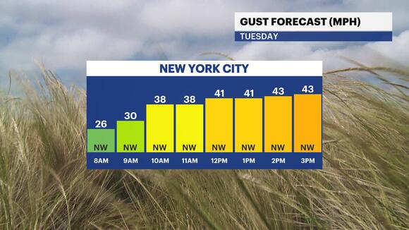 STORM WATCH: Frigid and breezy with light snow for the Bronx