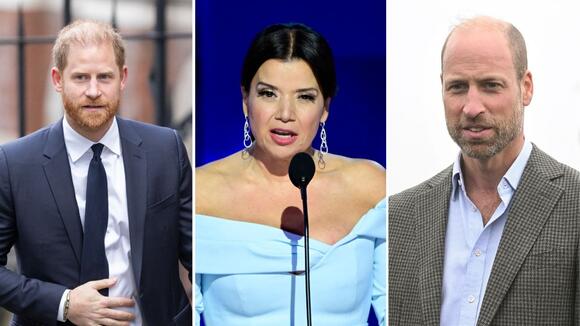 The View's Ana Navarro says Prince Harry and Prince William need to deal with their family rift ‘privately’: ‘There's been a lot of hurt on both sides’