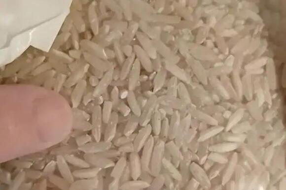 Investigation Underway After California Woman Reports Finding Insects ...