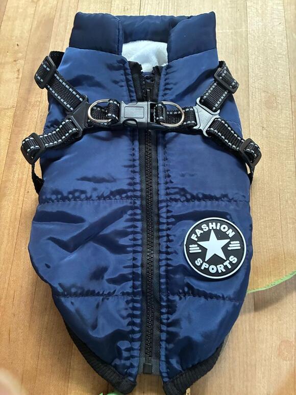 🎁 Freebies Up for Grabs in the City of Rochester This Week - NewsBreak