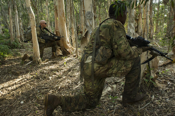 Troops Called the US Army’s Jungle School A “Green Hell” - NewsBreak