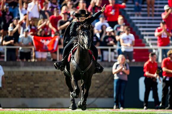 Meet The Iconic Live Animal Mascots Of College Football - NewsBreak