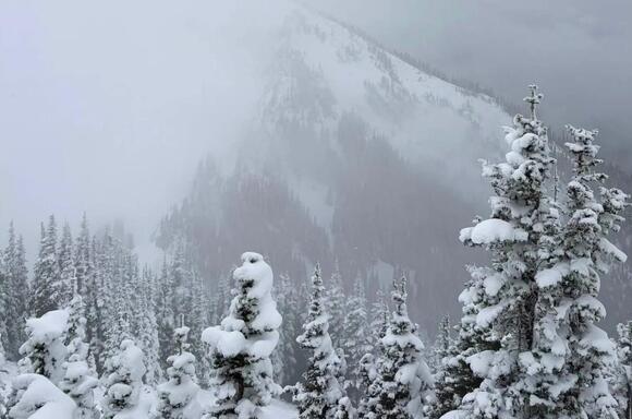 [PHOTOS] A Foot of Snow Just Fell at Crystal Mountain, WA — While ...