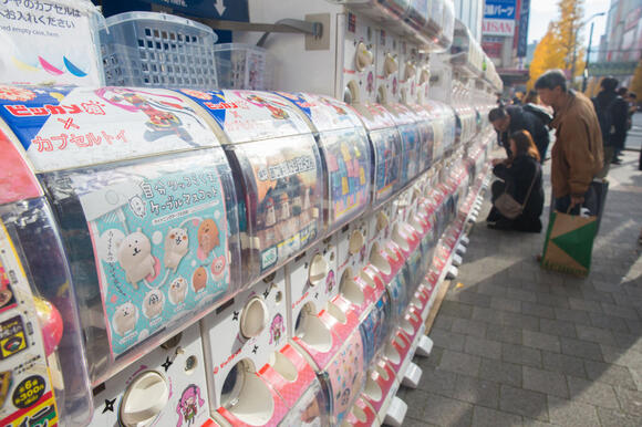 Japan Now Has a Bear Meat Vending Machine, More Could Follow - NewsBreak