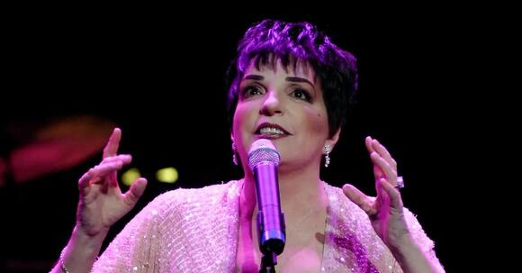 Liza Minnelli Calls Drug Addiction Her 'Final Gift' and 'Genetic ...