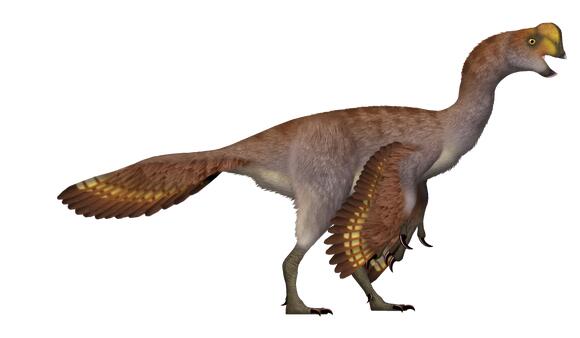 Incisivosaurus: The Buck-Toothed Dinosaur That Ate Plants (and Maybe ...