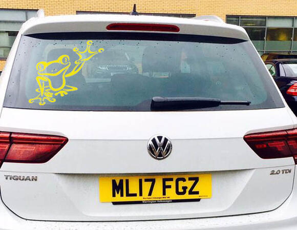 Why Thousands of Drivers Are Putting Frogs on Their Cars - NewsBreak