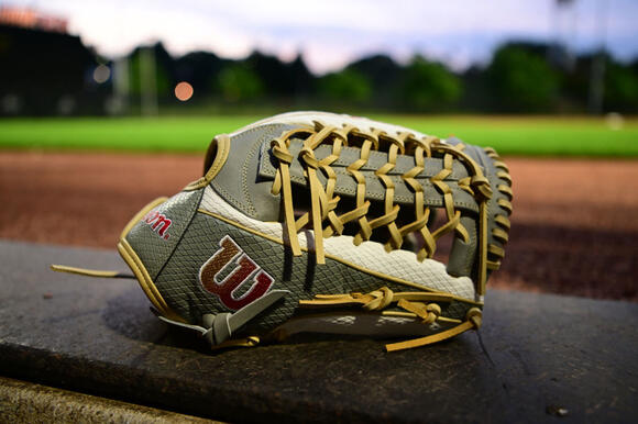 Scheels best sale baseball gloves