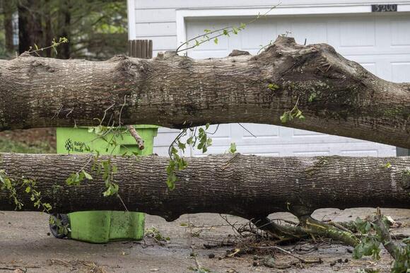 Reports of tornadoes, downed trees as Isaias remnants leave damage ...