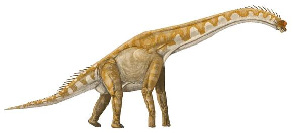 Why Brachiosaurus Probably Couldn’t Actually Hold Its Neck the Way ...