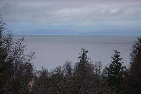 Alaska officials respond to mystery spill near idled Cook Inlet oil ...
