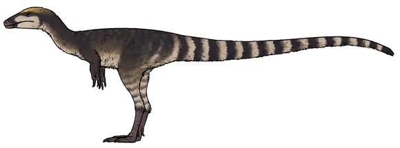 The Raptor Debate: Just How Smart Were They, Really? - NewsBreak