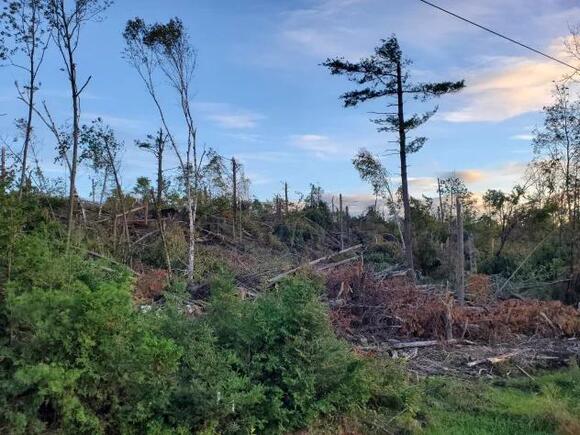 Canada tied all-time tornado record in 2022 - NewsBreak