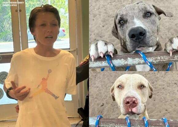 ‘Because of your uselessness’: Florida woman arrested in fatal dog ...