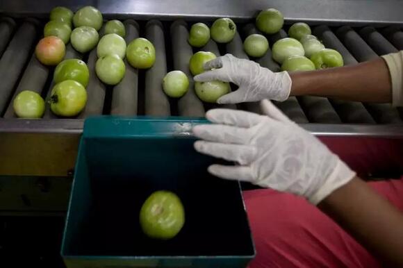 The FDA Conducted Just 5% of the Foreign Food Inspections It Was ...
