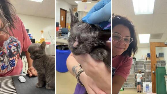 Rescue kitten's oversized head sparked fears of hydrocephalus, but ...
